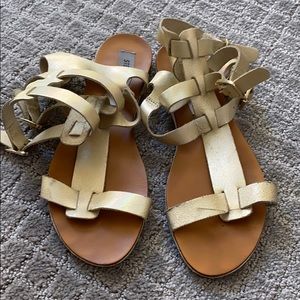Steve Madden Gladiator Sandals